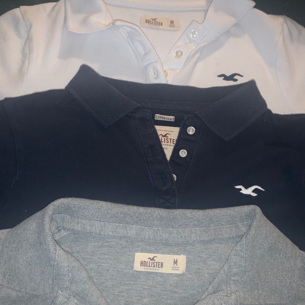 hollister polos